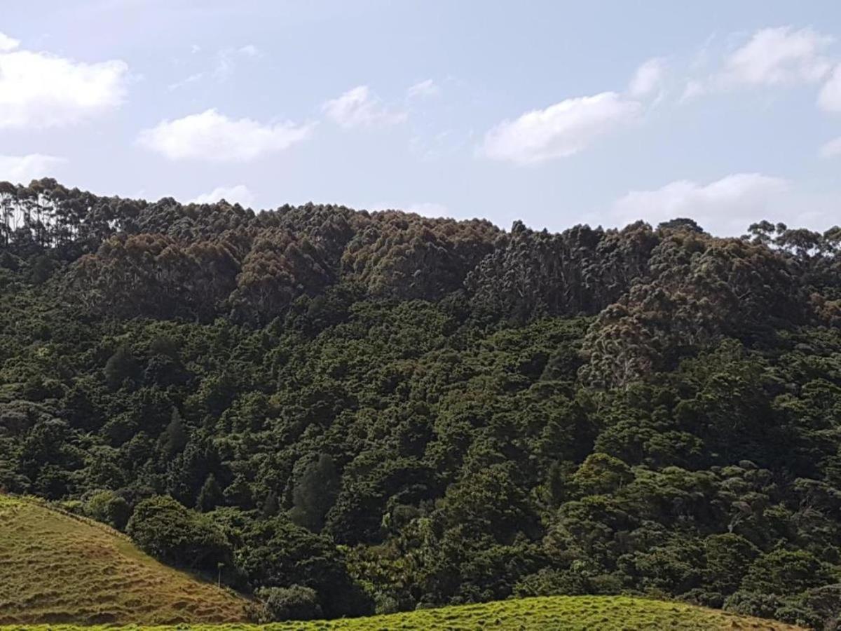 Tuiridge Tutukaka 아파트 외부 사진